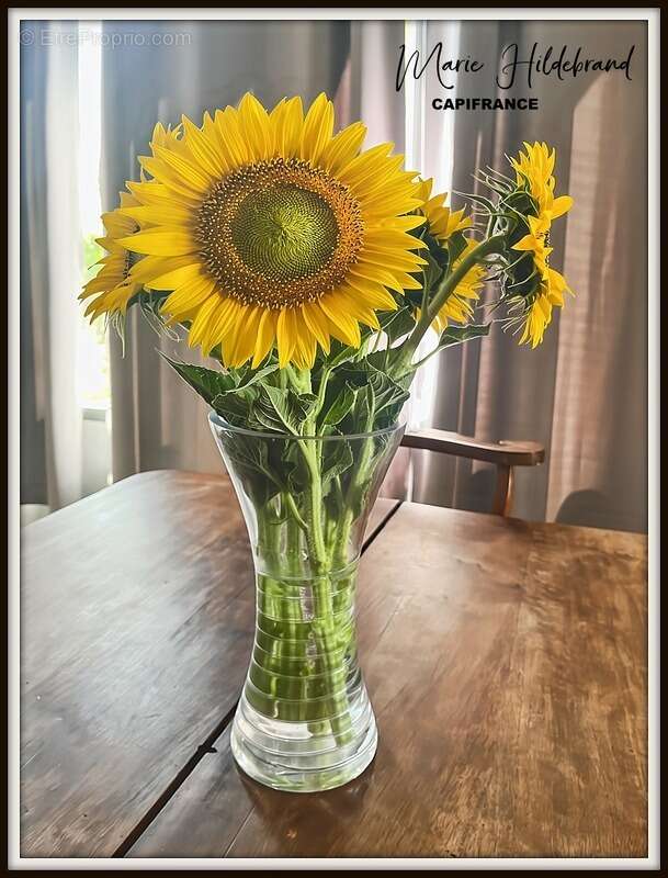 Maison à SAINT-CLAR