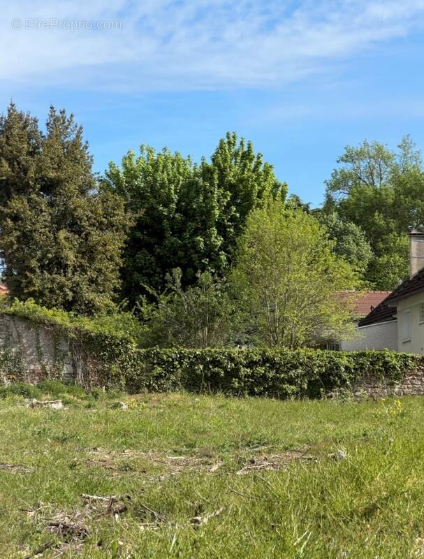 Terrain à VILLIERS-SUR-ORGE