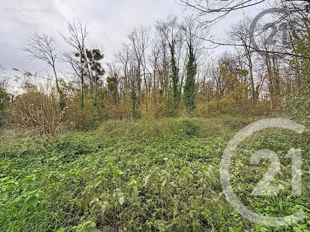 Terrain à CHALAUTRE-LA-PETITE