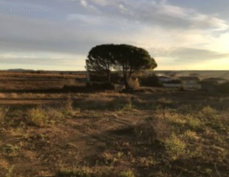 Terrain à AUTIGNAC