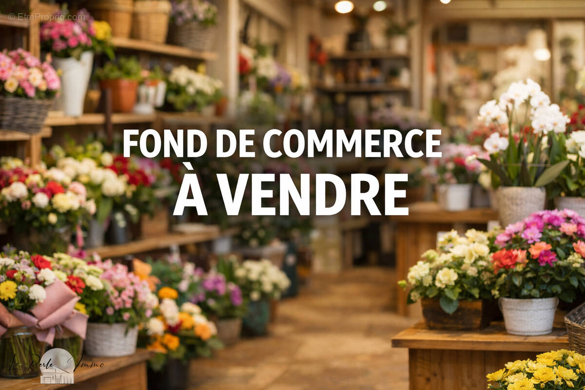 Commerce à CABESTANY