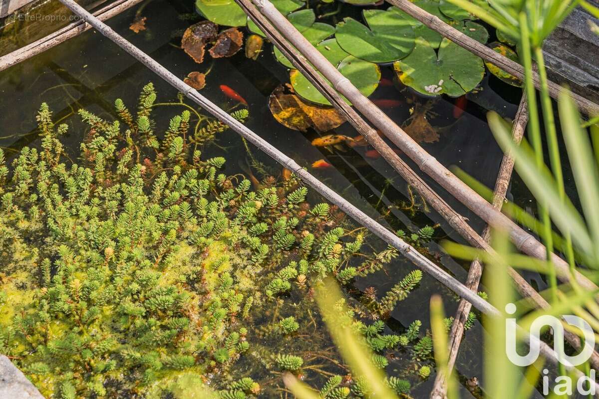 Photo 4 - Maison à SEYSSINET-PARISET