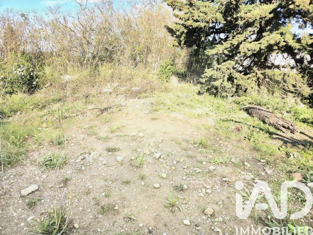 Terrain 489 m² à Salleles-D'aude  - photo 9