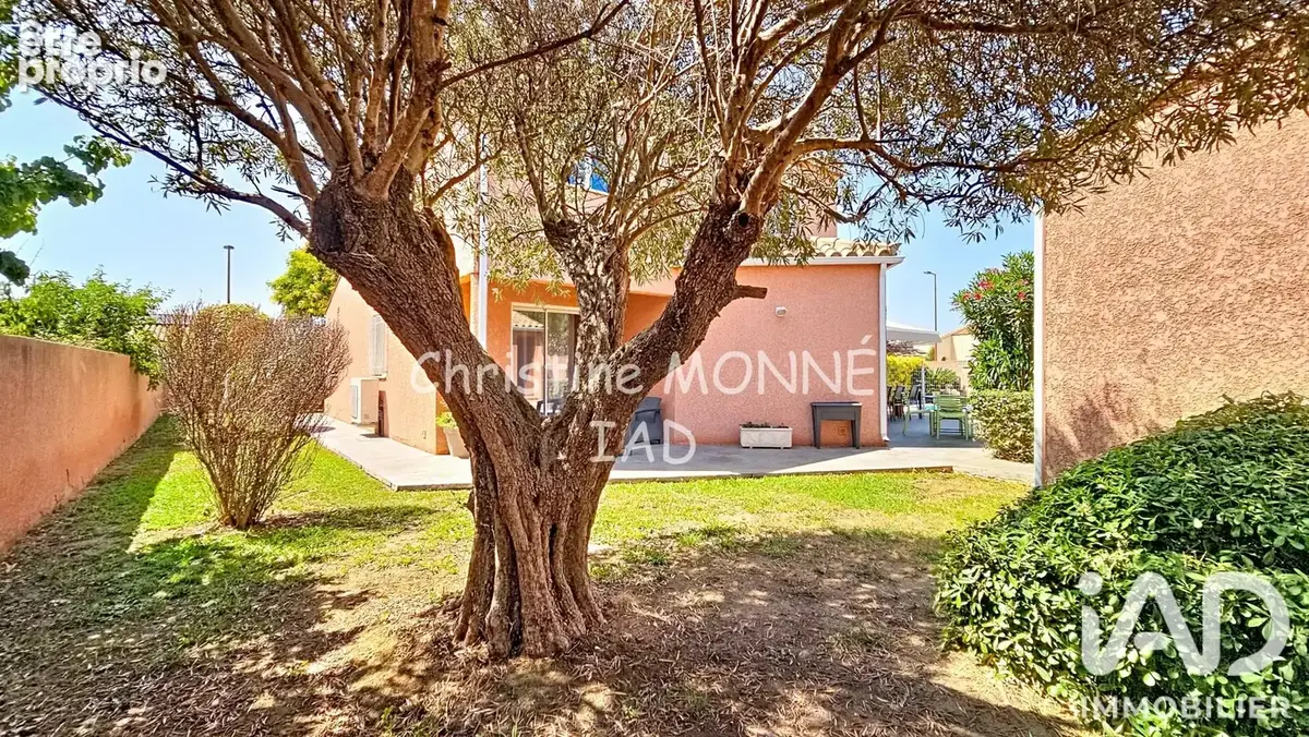 Photo 1 - Maison à TOULOUGES