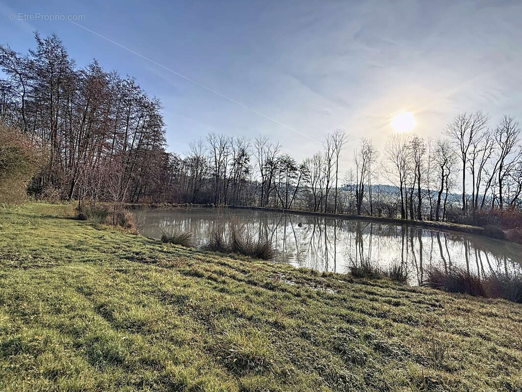 Terrain à MIRECOURT