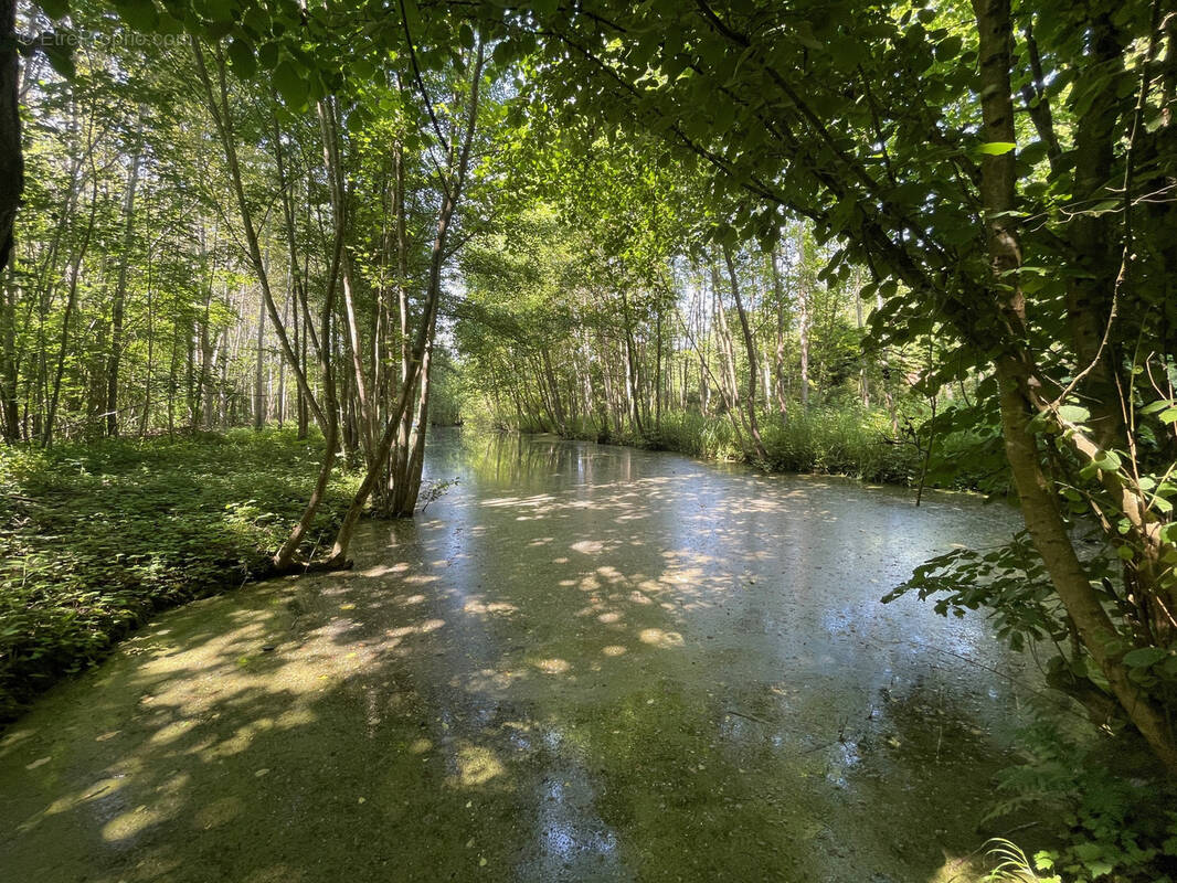 Terrain à FLIXECOURT