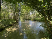 Terrain à FLIXECOURT
