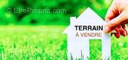 Terrain à LES ORMES