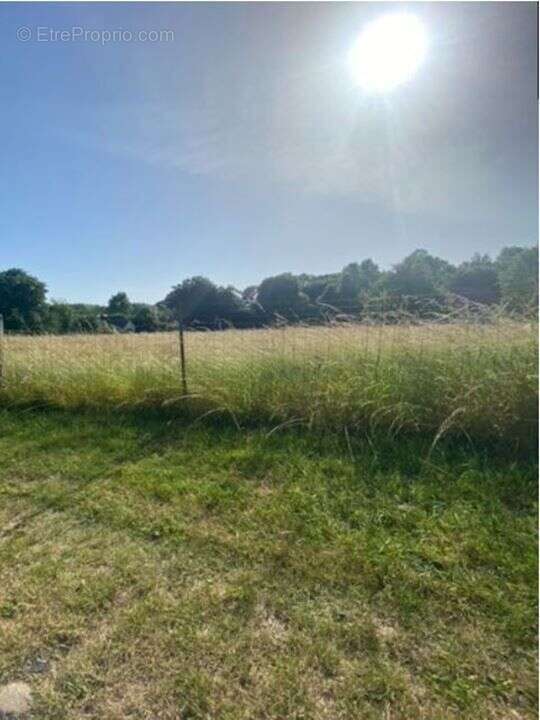 Photo 2 - Terrain à FRANLEU