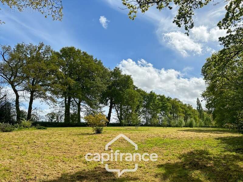 Longère en pierre rénovée – 7 600 m² de terrain – hangar de plus de 300 m² – kergrist, proche pontivy - photo 12