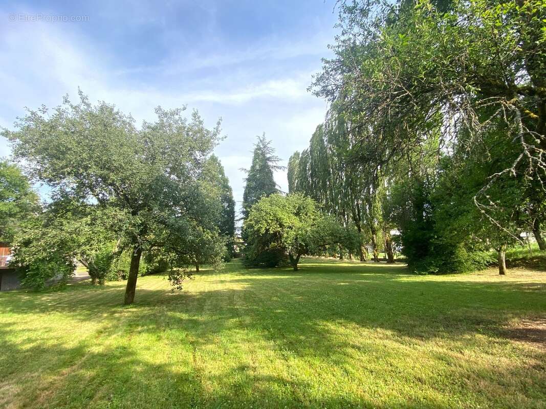 Terrain à vendre  proche de ESSERT - photo 4