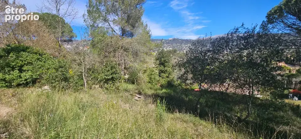 Terrain 1 425 m² à vendre à Peymeinade (06530) - photo 2