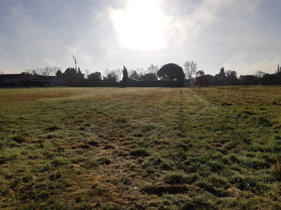 Terrain à SAINT-JORY