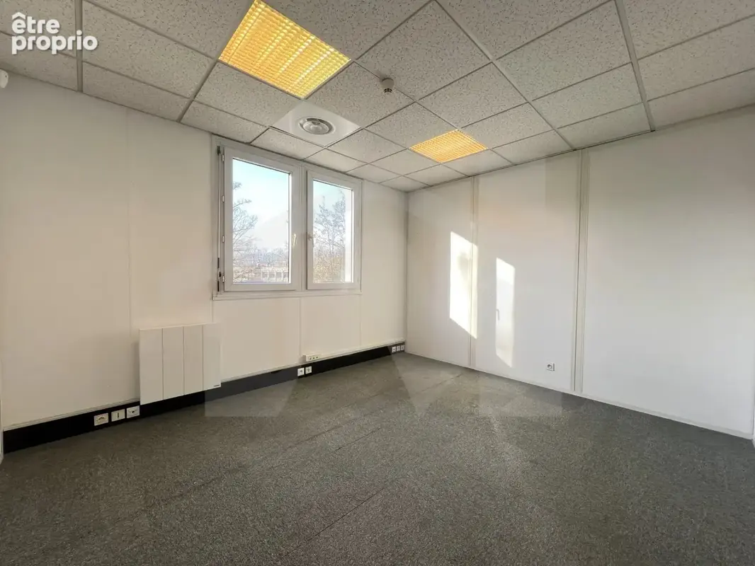 Local d'activité - 346m2 - photo 15
