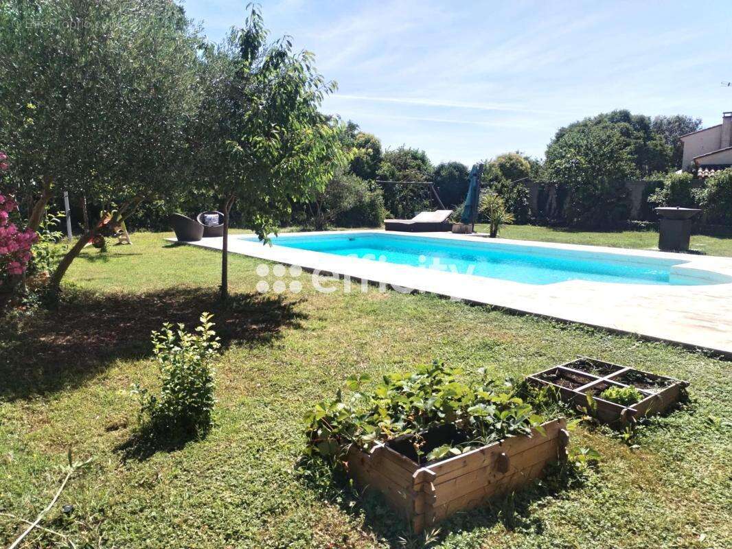Maison à GALARGUES