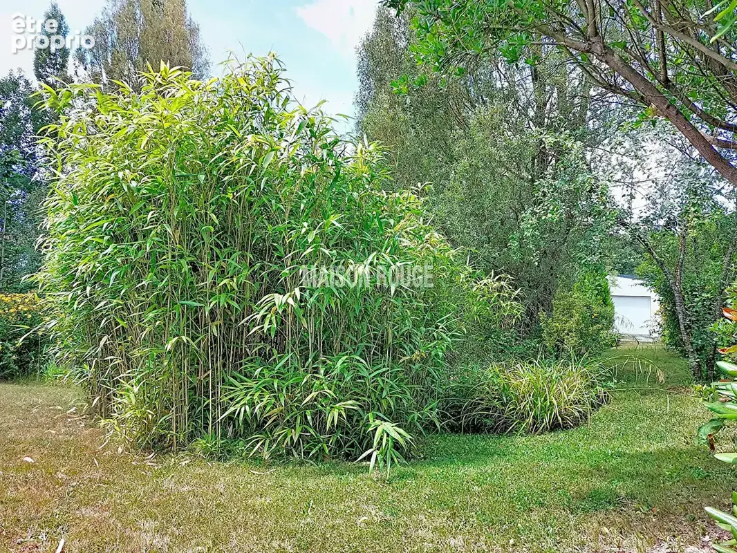 Maison de plain pied au calme de la campagne. - photo 12
