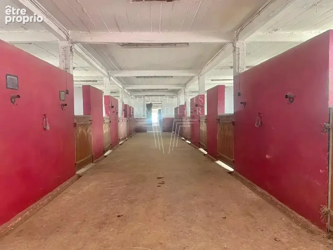 A 8 min de lisieux - haras de 11 ha - photo 15