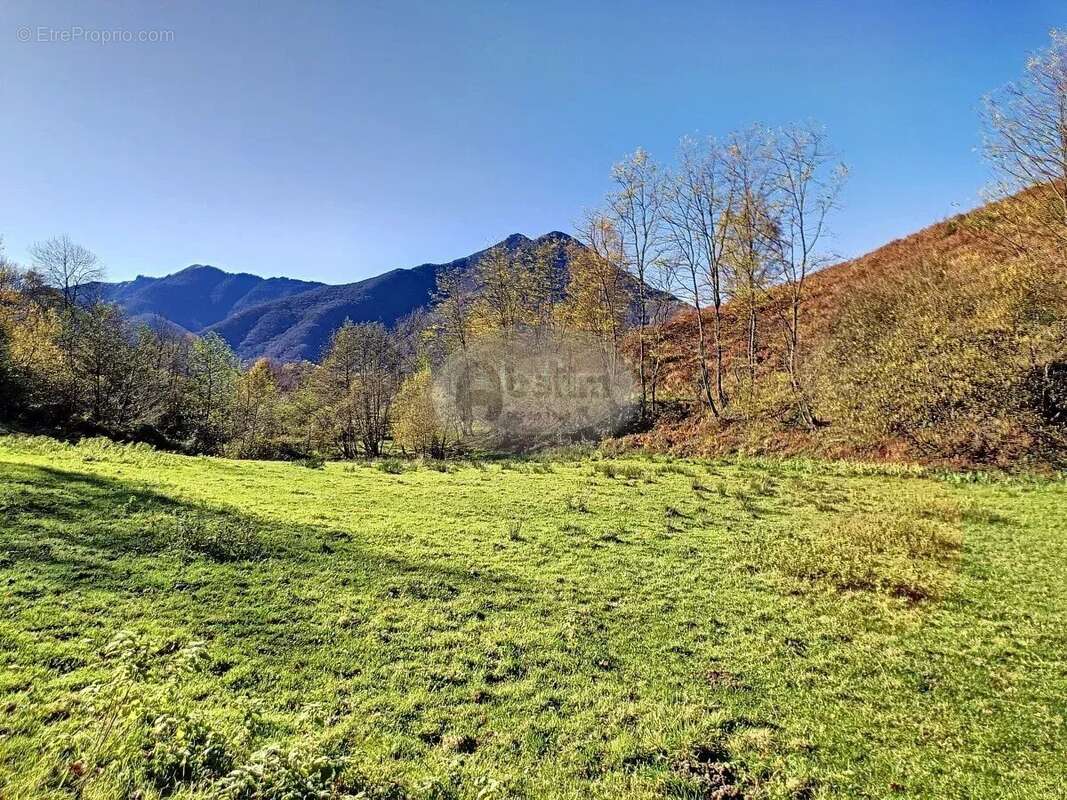 Maison à MAULEON-BAROUSSE