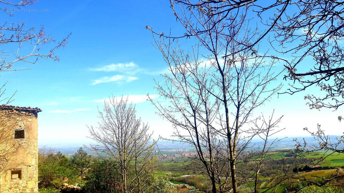 Terrain à CHAUSSAN