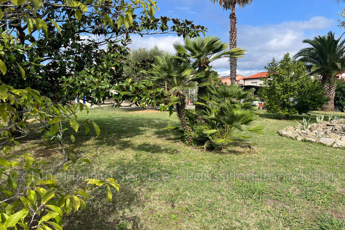 Terrain 632 m² à Ceret  - photo 4