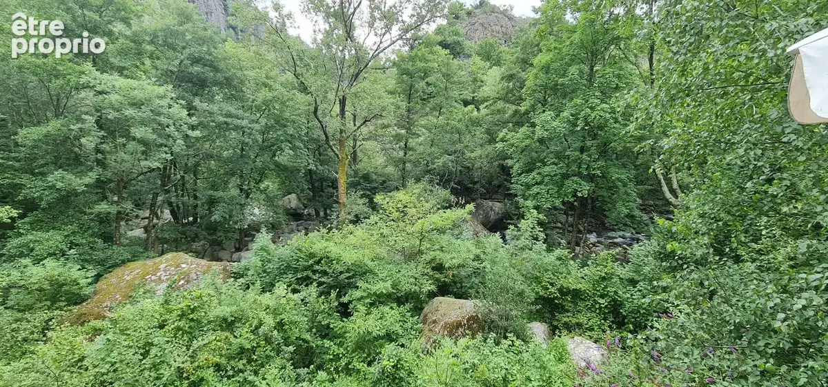 Maison et jardin en bordure de rivière - à rafraîchir - bon toit - photo 20