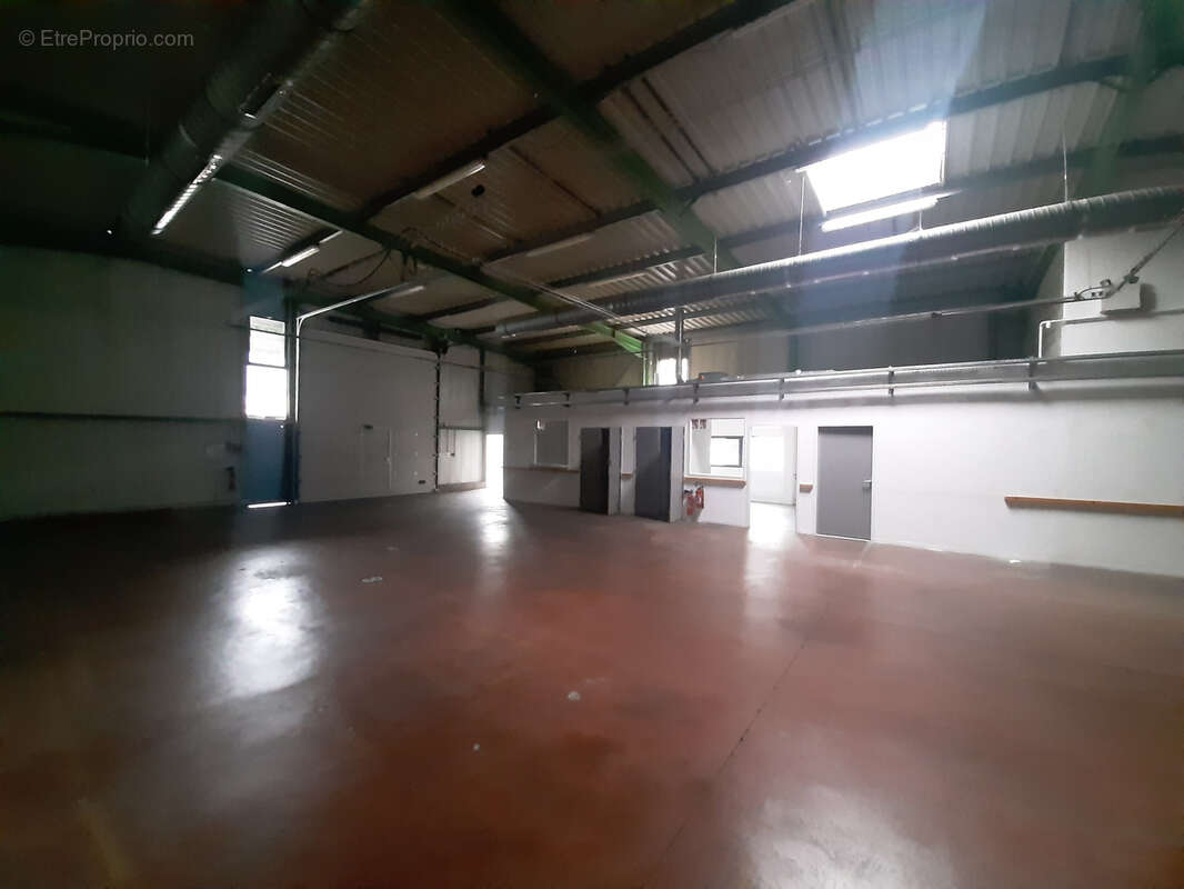 Commerce à SAINT-SAUVEUR-DE-MONTAGUT