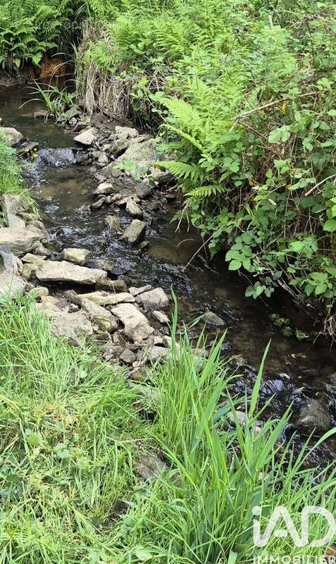 Photo 8 - Terrain à SAINT-LEONARD-DE-NOBLAT