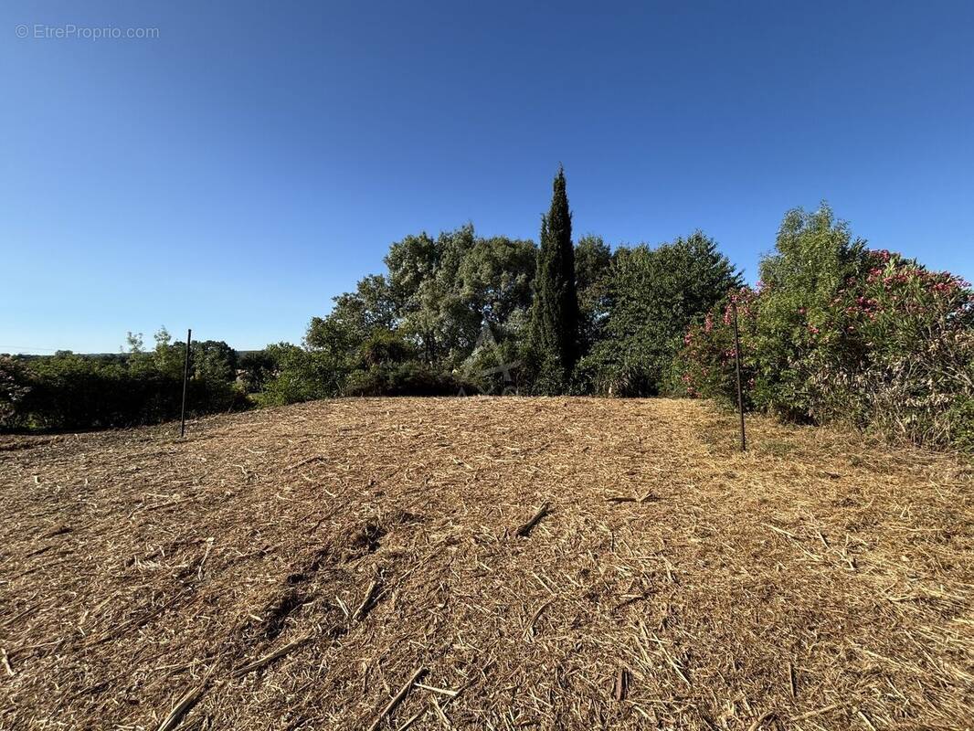 Terrain à VILLENEUVE-LES-BOULOC