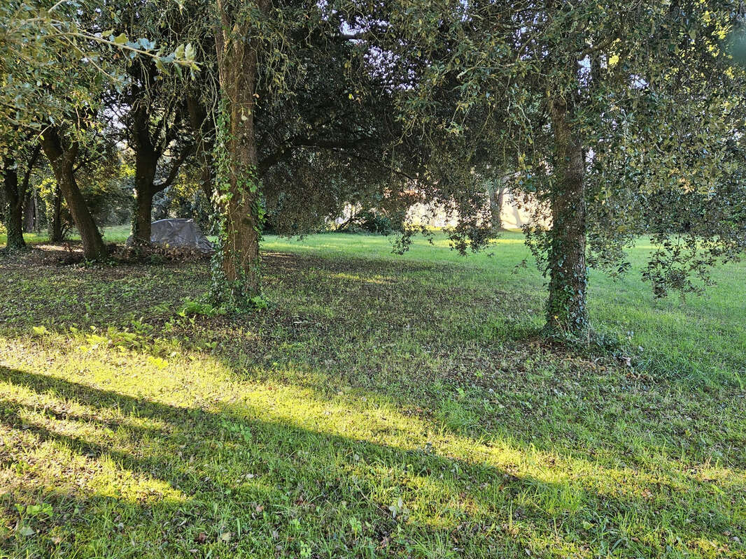 Terrain à SAINT-GEORGES-D&#039;OLERON