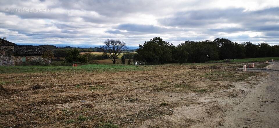 Terrain 624 m² à Castelnau-De-Montmiral  - photo 1
