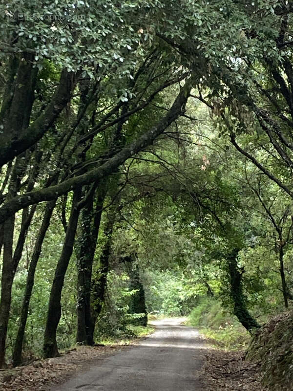 Autre à LES MAYONS