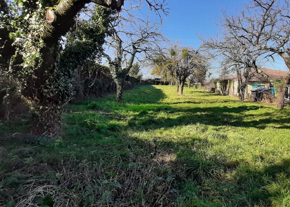 Terrain à LENS-LESTANG