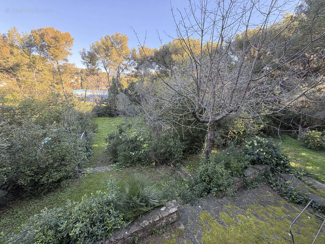 Terrain à SANARY-SUR-MER