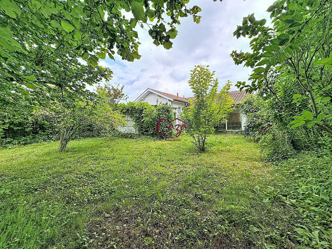 Maison à LE BOUSCAT
