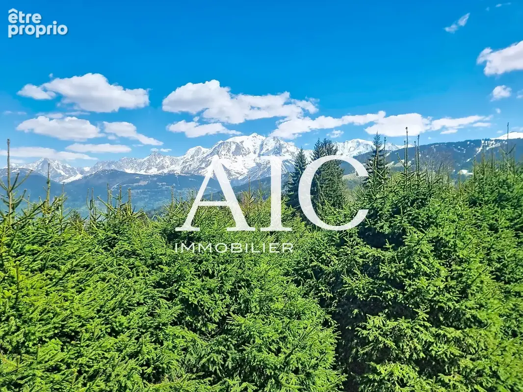 Bel appartement en rdj avec vue mont blanc - photo 15