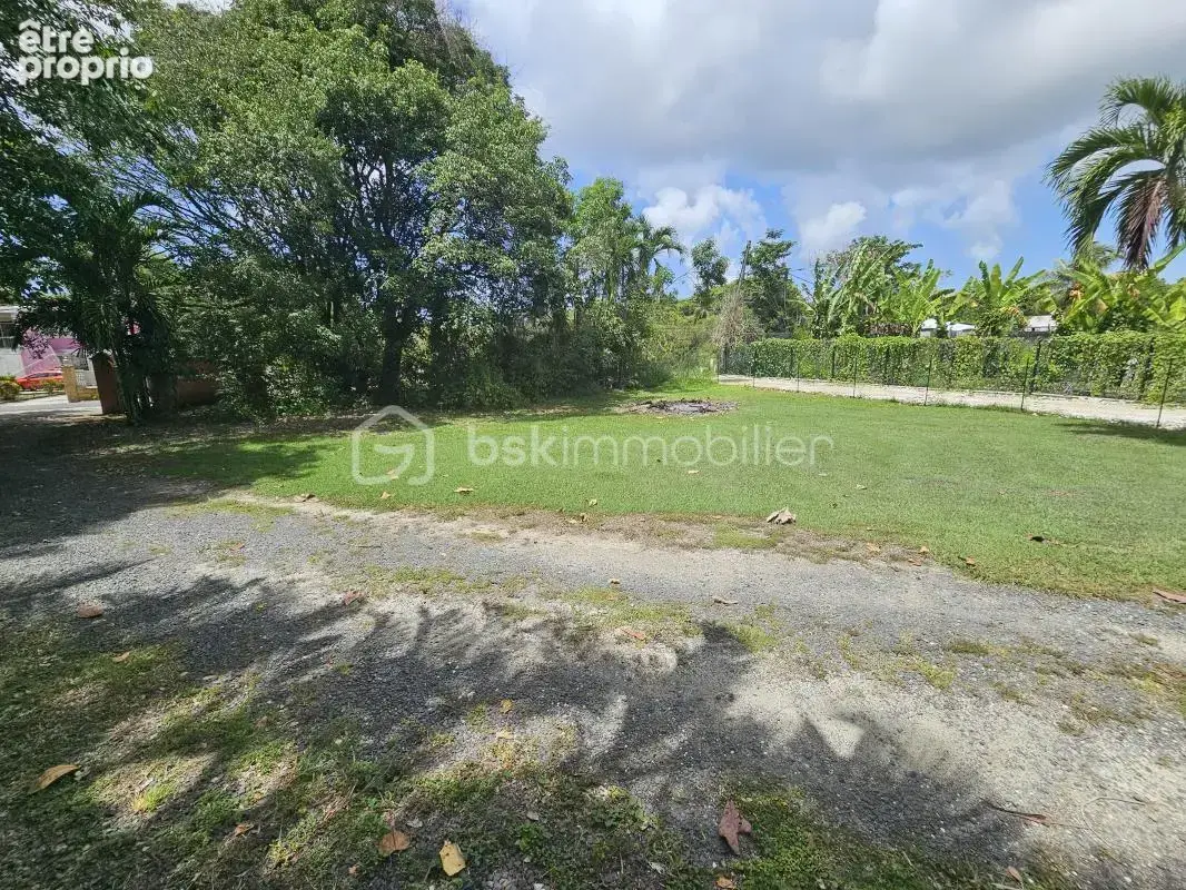 Maison  226 m2 avec pisicine et terrain 3000 m2 - photo 24