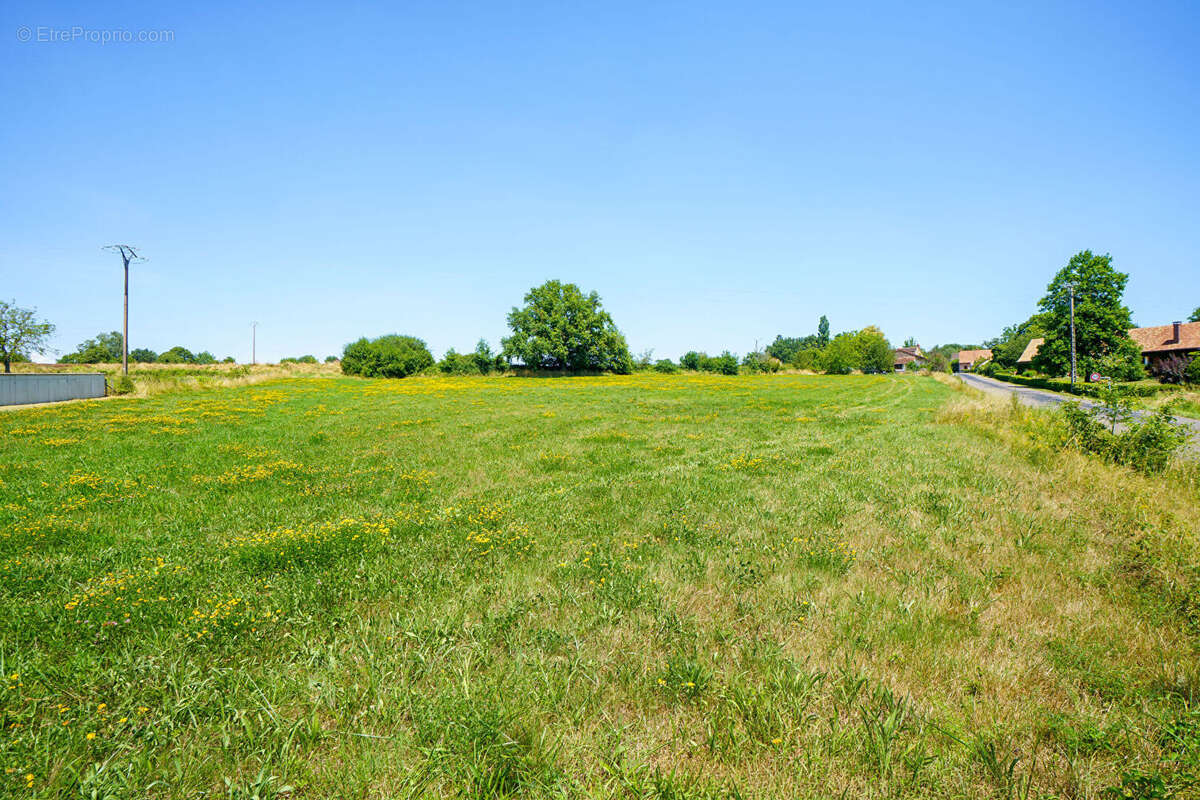 Terrain à bâtir/lotir LOISY - 7061m² - photo 2