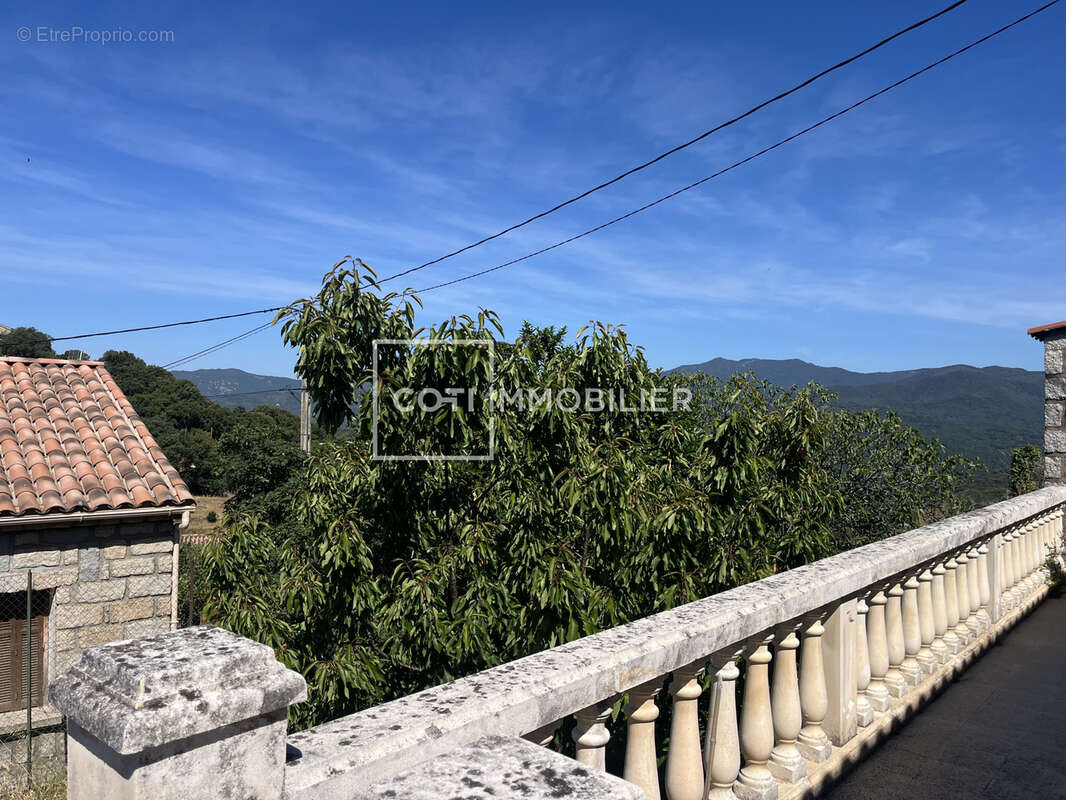 Petreto bicchisano - maison 3 pieces - 95.05m2 - photo 2