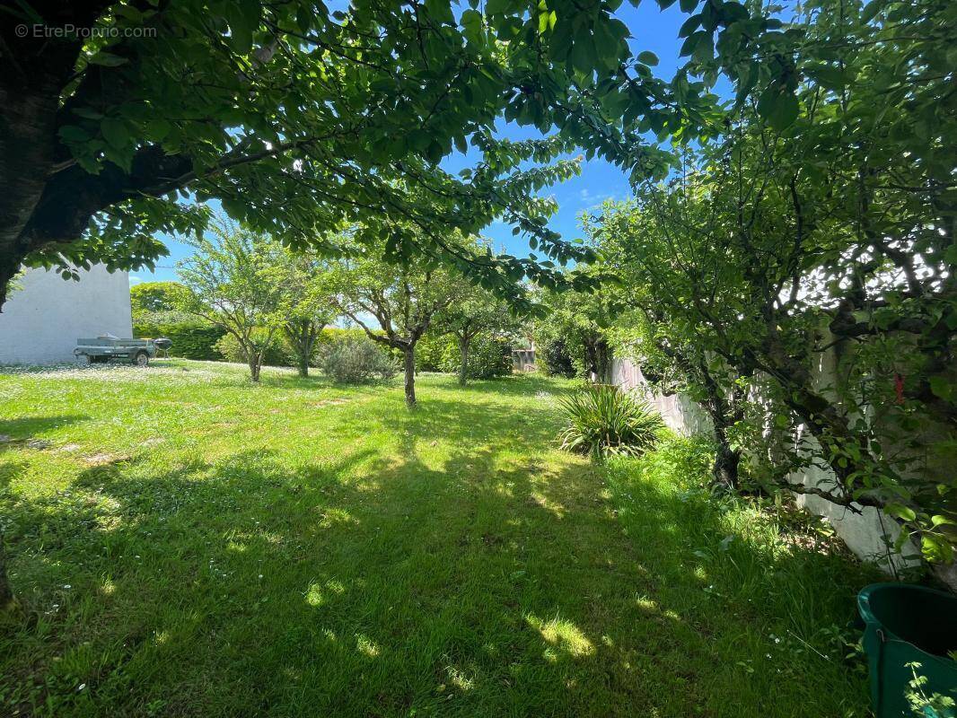 Terrain à NIEUL-SUR-MER