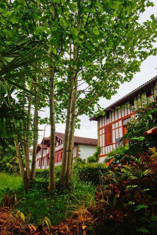 Authentique maison de caractère au coeur du Pays basque - photo 6