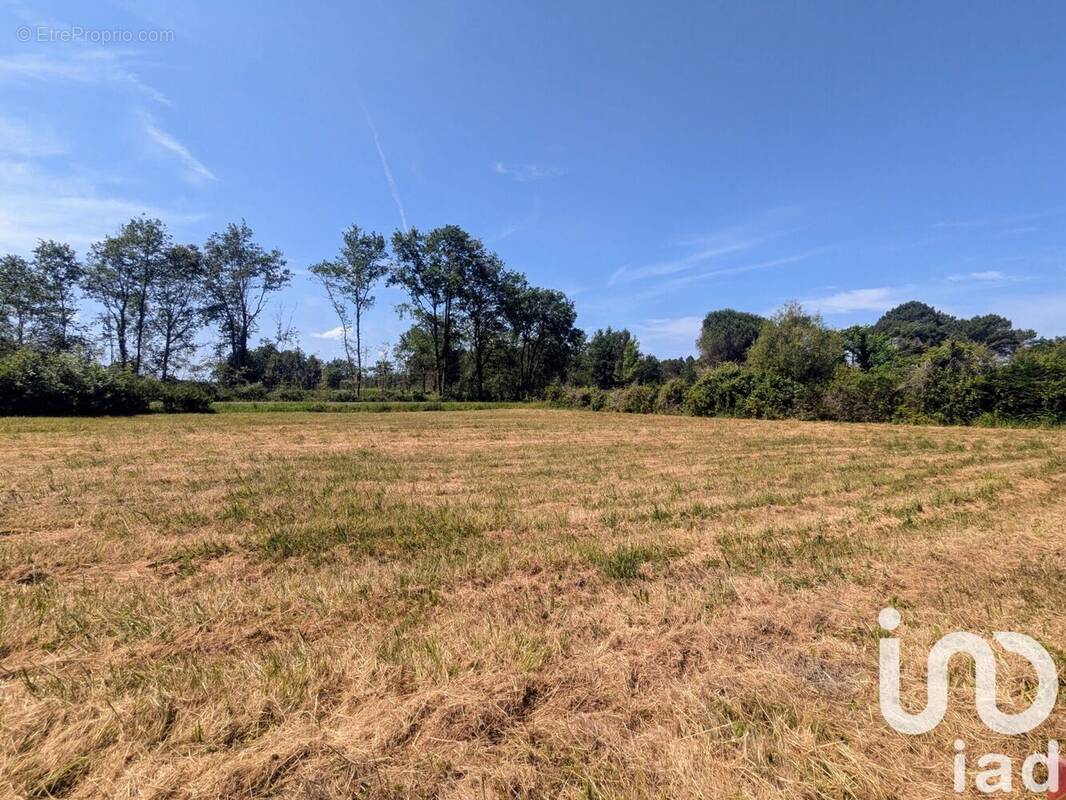 Photo 1 - Terrain à BUDOS