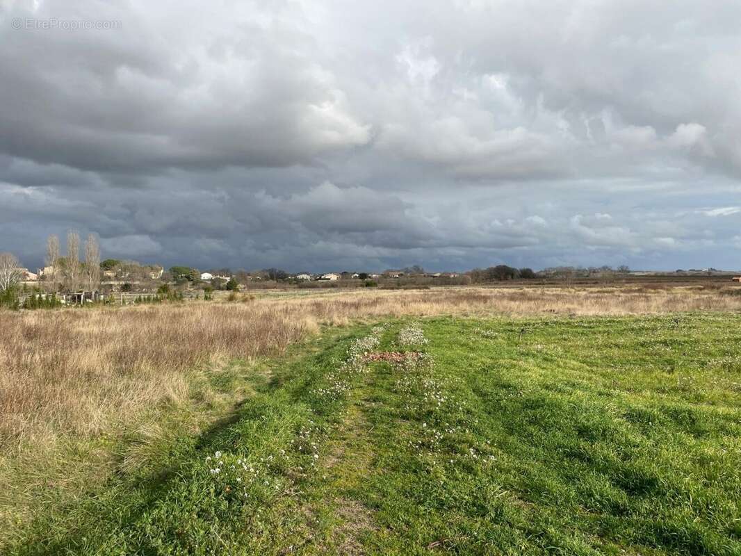 Terrain à POUZOLLES