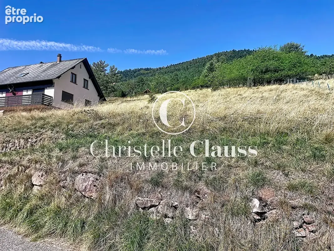 Wangenbourg-Engenthal terrain à construire de 1548 m2 - photo 8