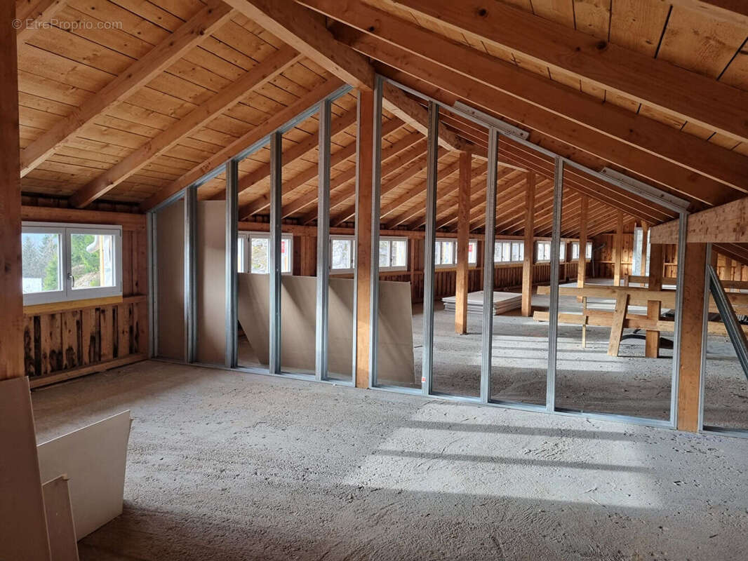 À saisir ? plateau à aménager aux fins - 66m² - 15 minutes de la frontiere suisse - photo 4