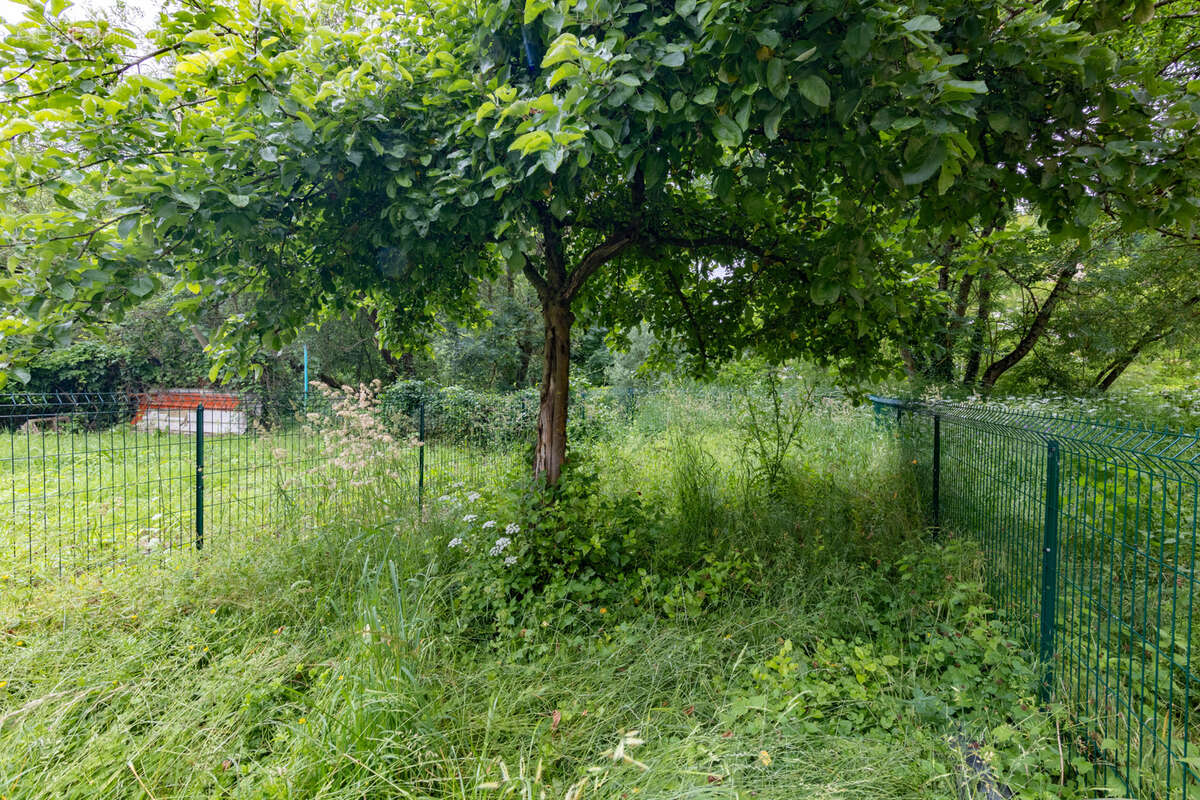 Appartement à HOMECOURT