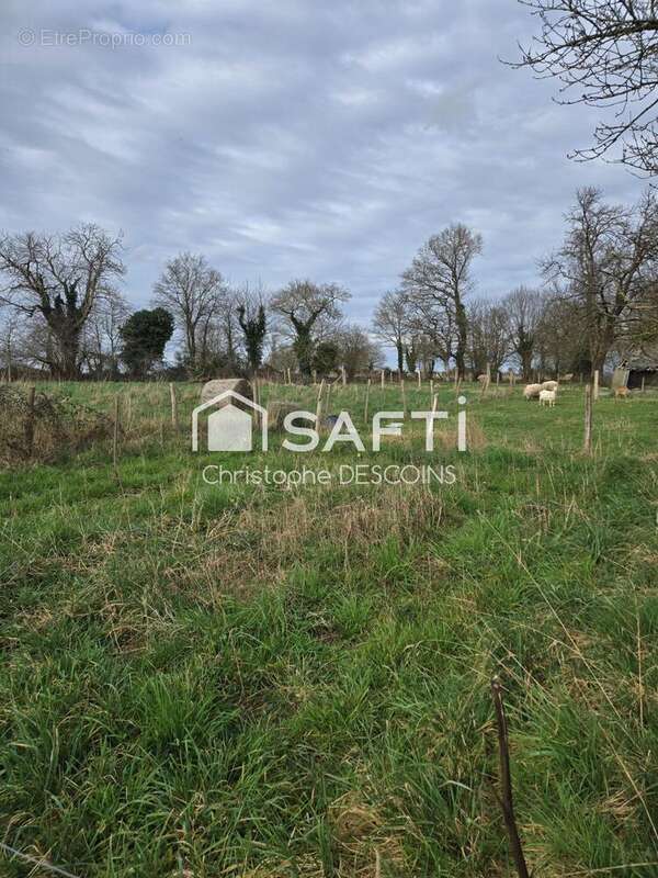 Photo 5 - Maison à CHAILLAND