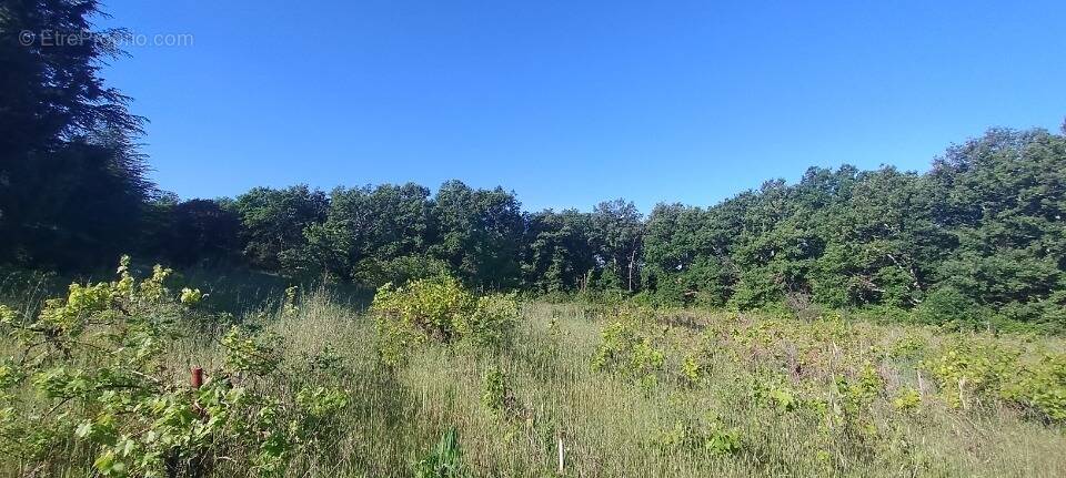 Terrain à BARJAC