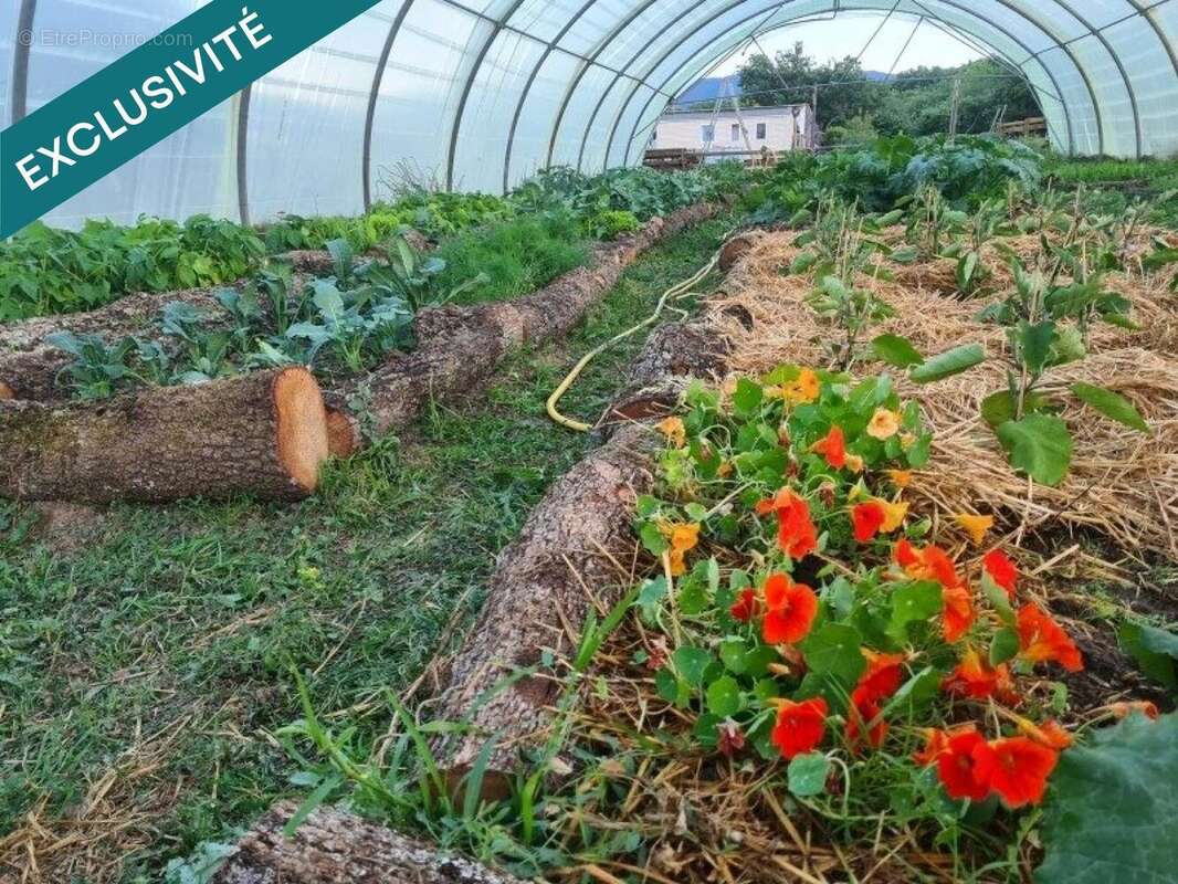 Photo 7 - Terrain à SAINT-MARTIN-DE-CASTILLON