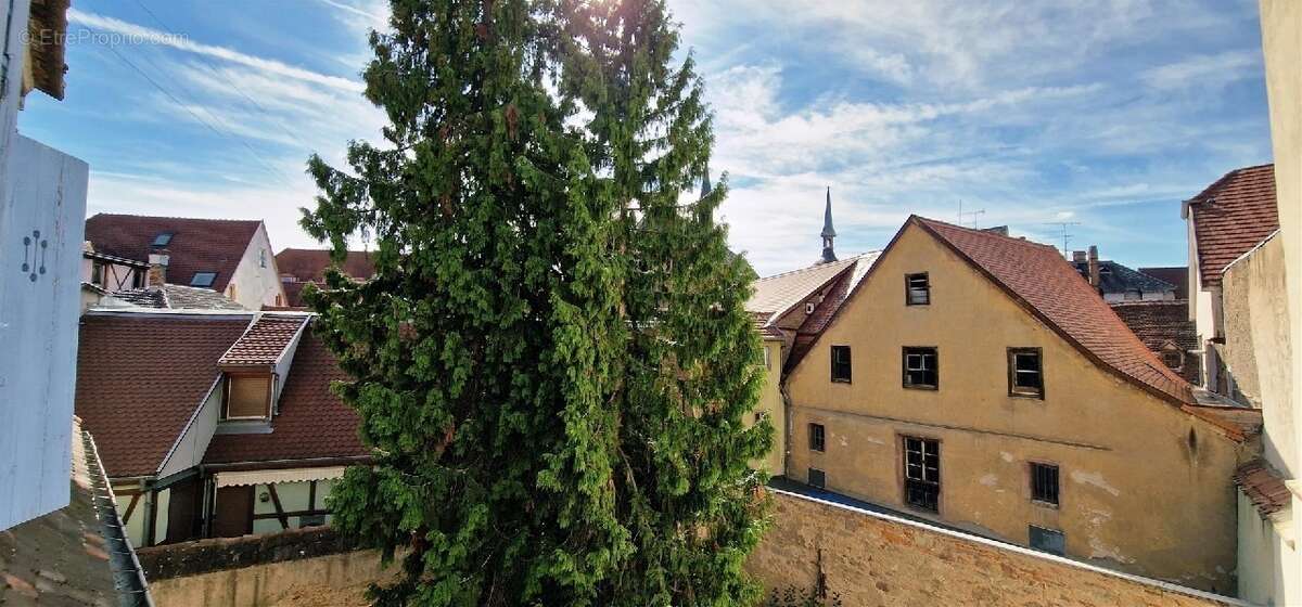 Appartement 121 m² à Colmar  - photo 2