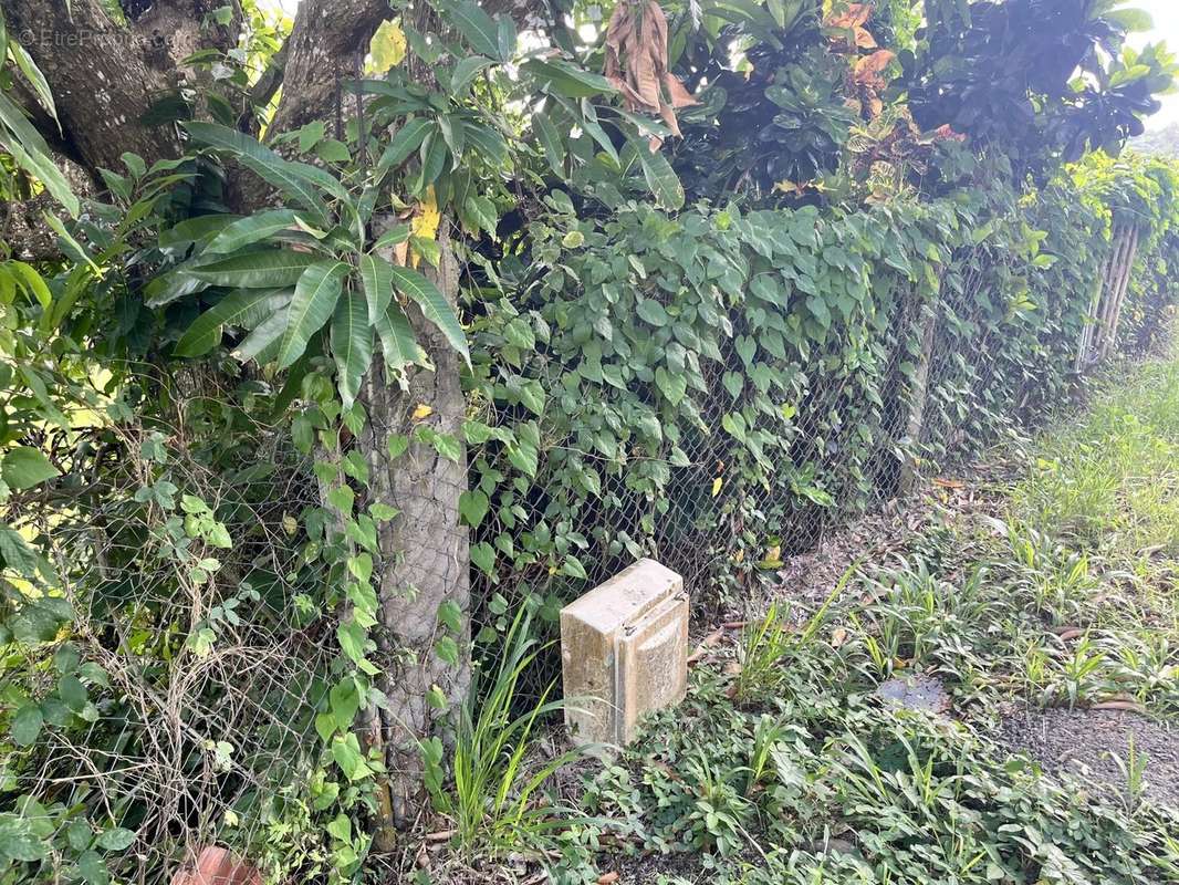 Terrain à RIVIERE-SALEE